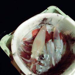 ＴＡＲＯＭＡＲＵ 釣果