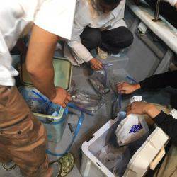 ＴＡＲＯＭＡＲＵ 釣果