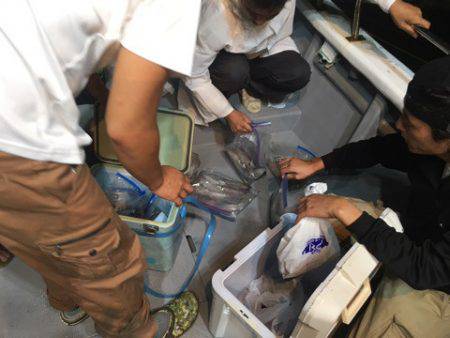 ＴＡＲＯＭＡＲＵ 釣果