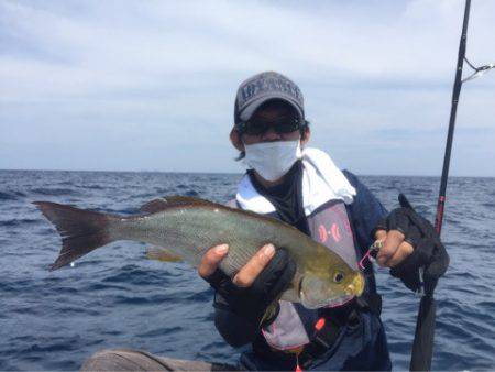 「LaGooN」蒼陽丸 日和号 釣果