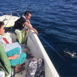 「LaGooN」蒼陽丸 日和号 釣果