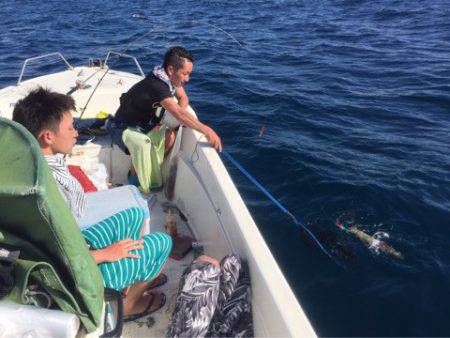 「LaGooN」蒼陽丸 日和号 釣果