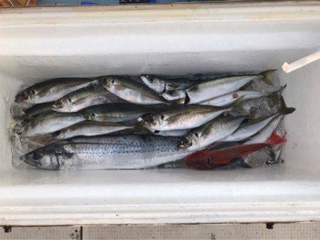 Monster Rush! 釣果