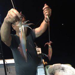 ＴＡＲＯＭＡＲＵ 釣果