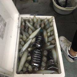 ＴＡＲＯＭＡＲＵ 釣果