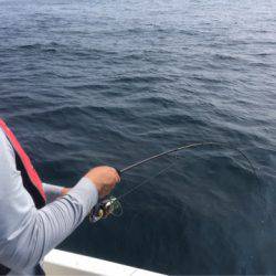 「LaGooN」蒼陽丸 日和号　 釣果