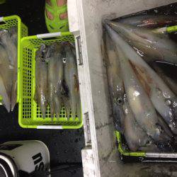 第二龍勢丸 釣果