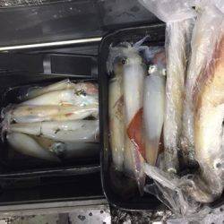 第二龍勢丸 釣果