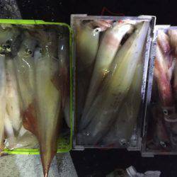 第二龍勢丸 釣果