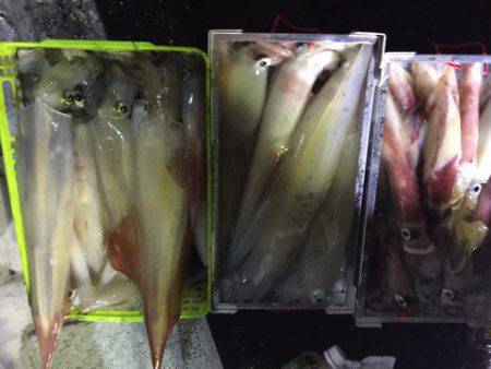 第二龍勢丸 釣果