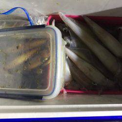 第二龍勢丸 釣果