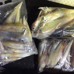 第二龍勢丸 釣果