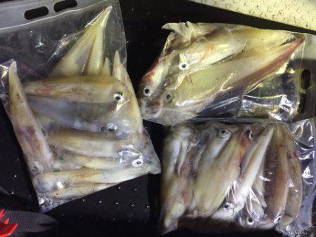 第二龍勢丸 釣果