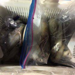 第二八坂丸 釣果