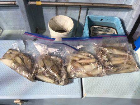 第二八坂丸 釣果