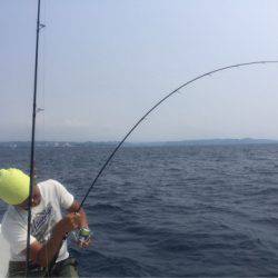 「LaGooN」蒼陽丸 日和号 釣果