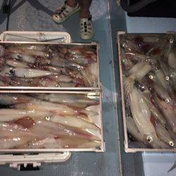 第二八坂丸 釣果