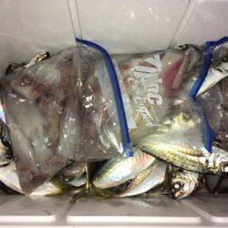 第二八坂丸 釣果