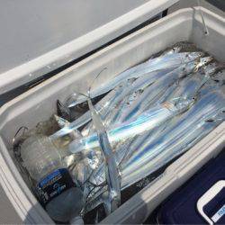 Chase（チェイス） 釣果