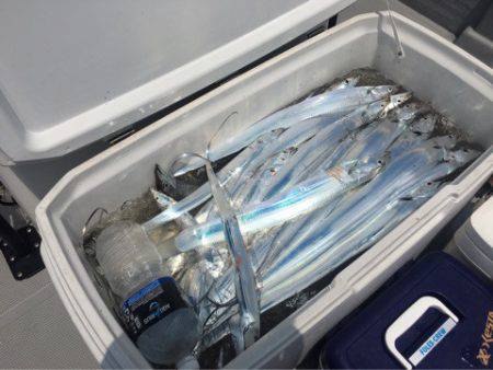 Chase（チェイス） 釣果