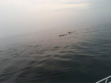 末広丸(熊本) 釣果