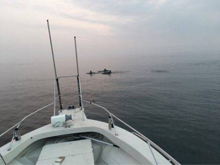 末広丸(熊本) 釣果