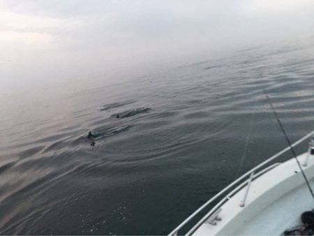 末広丸(熊本) 釣果