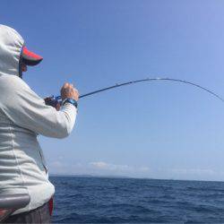 「LaGooN」蒼陽丸 日和号　 釣果