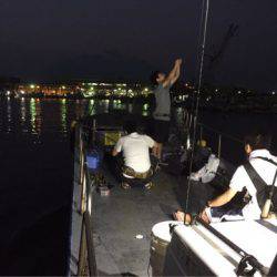 第二 海洋丸 釣果