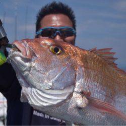 渡船屋たにぐち 釣果