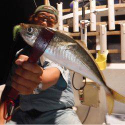 渡船屋たにぐち 釣果