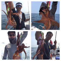 ビッグファイター 釣果