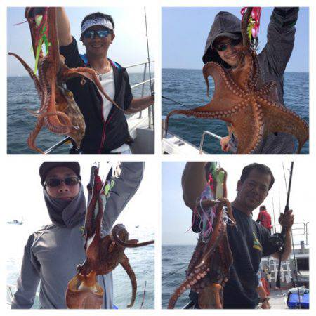 ビッグファイター 釣果