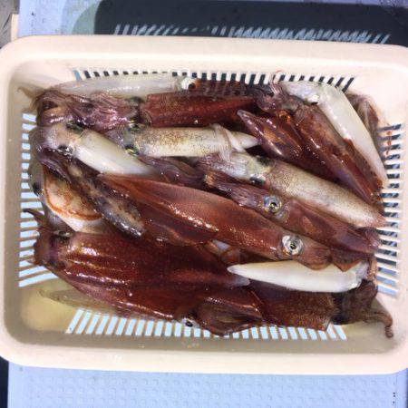 第二八坂丸 釣果