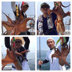 ビッグファイター 釣果