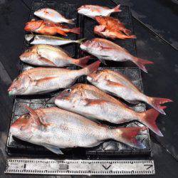 渡船屋たにぐち 釣果