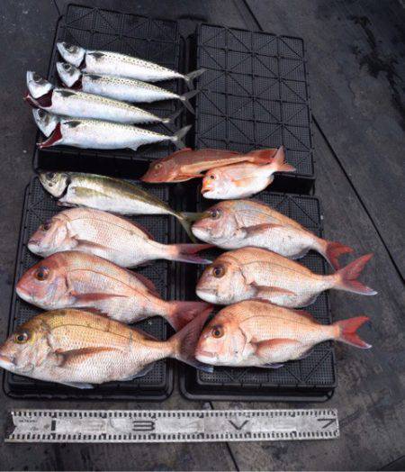 渡船屋たにぐち 釣果