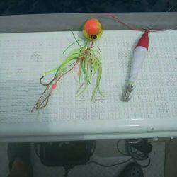 海季丸（みきまる） 釣果