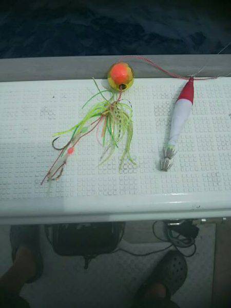 海季丸（みきまる） 釣果