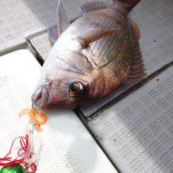 まるいち丸 ZERO-1 釣果