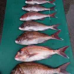 まるいち丸 ZERO-1 釣果