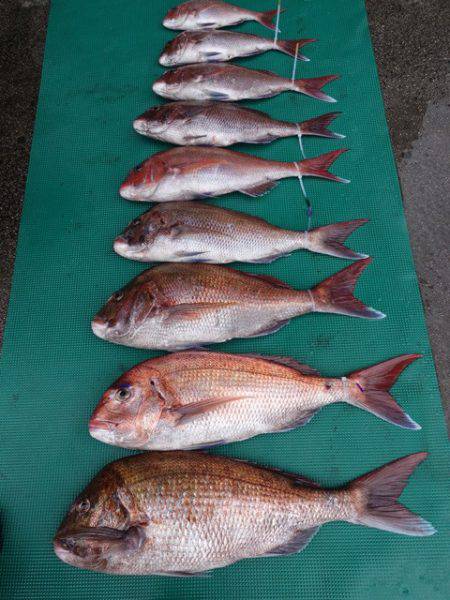 まるいち丸 ZERO-1 釣果