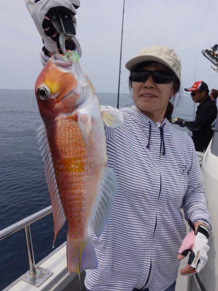 まるいち丸 ZERO-1 釣果