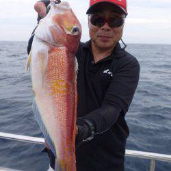 まるいち丸 ZERO-1 釣果