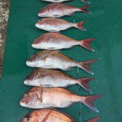 まるいち丸 ZERO-1 釣果