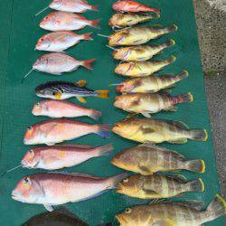 まるいち丸 ZERO-1 釣果