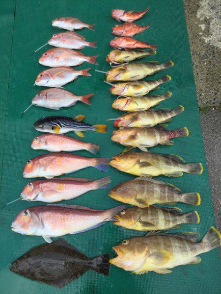 まるいち丸 ZERO-1 釣果