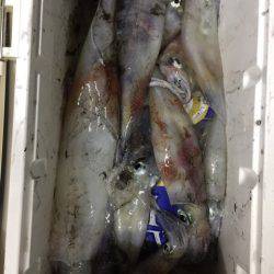 第二龍勢丸 釣果