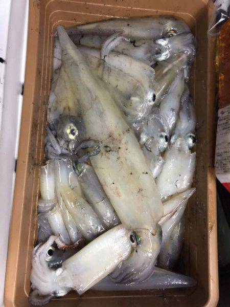 第二龍勢丸 釣果