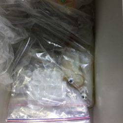 第二龍勢丸 釣果